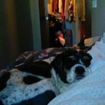 Dakota Danielle Stedman - @dakotasphotography_2000 - Instagram