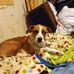 Danielle Steward - Facebook