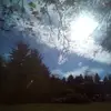 Danielle Stiltner - @danielle.stiltner7 - TikTok