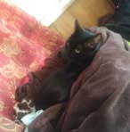 Danielle Stiltner - Facebook