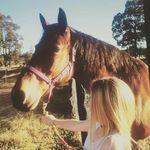 Danielle Stocks - @horsey_girl2006 - Instagram