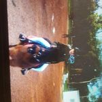 Danielle Stocks - @danistocks2006 - Instagram