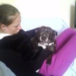 Danielle Stoddart - @stoddart7843 - Instagram