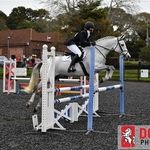 Danielle Storer - @ds.eventing - Instagram