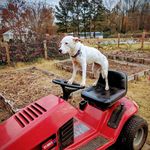 Danielle Castelli Strader - @straderfarms - Instagram
