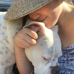 Danielle Strand - @lady_of_the_tree - Instagram