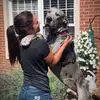 Danielle Strawn - @dr.danielle_strawn - TikTok