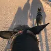DanielleStrawn - @daniellestrawn - TikTok