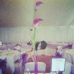 Danielle Street - @hillviewflorist - Instagram