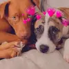 Danielle Street - @ajaxandberkley.2020 - TikTok