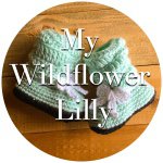 Danielle Strickland - @mywildflowerlilly - Instagram