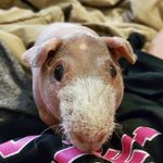 Danielle Strobel - @lovemybabyboybude - Instagram