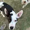 Danielle Strole - @danielle.strole - TikTok