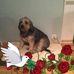 Danielle Studer - Facebook