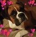 Danielle Surber - Facebook