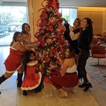 Danielle Sugano - @my_mini_animal_farm - Instagram