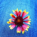Danielle Sulzer - @thewanderingsoulsfamily - Instagram