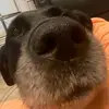 hi - @daniellesuperdupersecret - TikTok