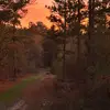 Danielle Swartz - @danielleswartz00 - TikTok