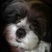 Daniele Therrien - Facebook