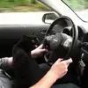 Danielle Thing - @dthing6386 - TikTok