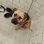 Danielle Thomas - Facebook