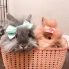 danielletillery3 - @dolly_lucy4 - TikTok
