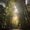 Danielle Tinker - @d.tin.kr - TikTok