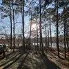 danitippins - @danitippins - TikTok