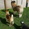 Danielle Riley Tom A - @danielletom.1808 - TikTok