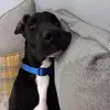 danielletomlin429 - @danielletomlin429 - TikTok