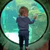 Danielle Tonge - @danielle.tonge6 - TikTok