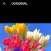 Danile Durpo - Facebook
