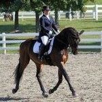 Danielle Toscano - @danniponyisland - Instagram