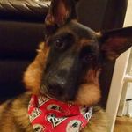 Danielle Toscano - @mrsdat70 - Instagram