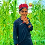 Tufail Tanoli - Facebook