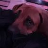 danielle - @danielletrimm358 - TikTok