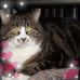 Danielle Trudeau - Facebook