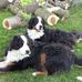 Danielle Trudeau - Facebook