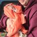 Danielle Trudeau - Facebook