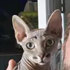 danielle - @danielletucker09 - TikTok
