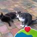 Daniele Turon - Facebook