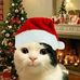 Danelle Marie Daileg - Facebook