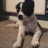 danielle - @danielletully84 - TikTok