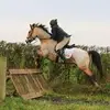Danielle Vallely - @daniellevallely - TikTok