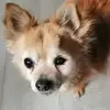 danielleverdonnet - @danielleverdonnet - TikTok