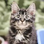 Danielle Vezina - @eastcoastsky360 - Instagram