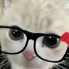 🎀Даша 🎀 - @daniellevinson6 - TikTok