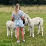 Danielle Visser - @dntj89 - Instagram