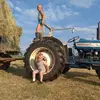 Daniëlle Visser - @daniellevisser028 - TikTok